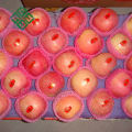 venta caliente chino fuji apple fruit fresh apple